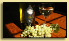 Viognier