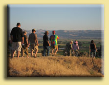 Vineyard Picnic