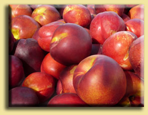 Nectarines