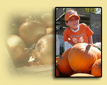 Garden Pumpkins