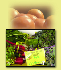 Garden Greens